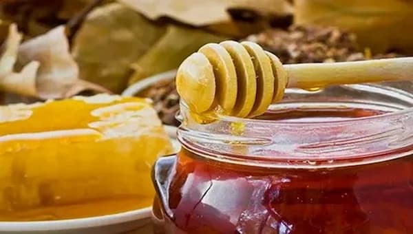 تصویر 2 از فروش عسل زرشک خراسان + قیمت خرید به صرفه